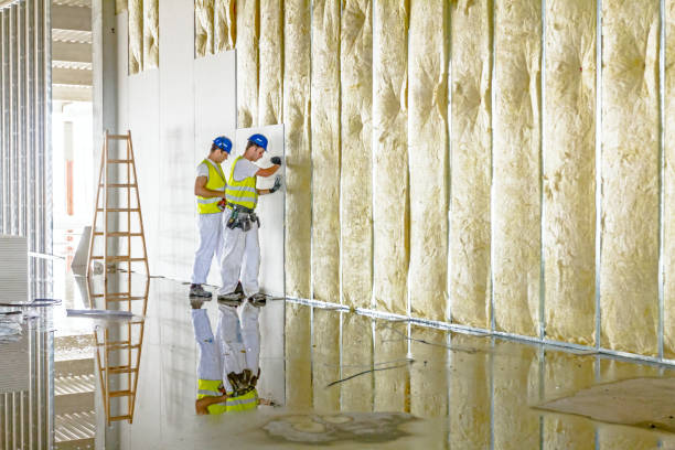 Best Residential Insulation in Rutherfordton, NC